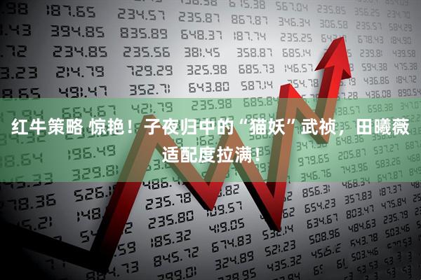 红牛策略 惊艳！子夜归中的“猫妖”武祯，田曦薇适配度拉满！