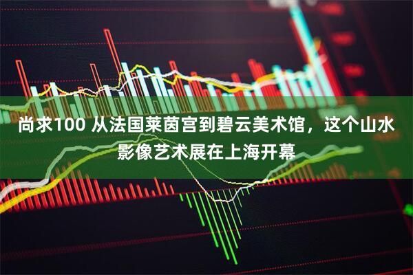 尚求100 从法国莱茵宫到碧云美术馆，这个山水影像艺术展在上海开幕